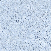 Пленка ПВХ Aquaviva Terrazzo 2,05x25,2м (мраморная крошка) - wod-mir.ru 