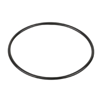 Прокладка крышки задней (фланца) насоса Kripsol NK (RNK160) - wod-mir.ru 