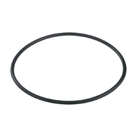 Уплотнительное кольцо корпуса насоса Aquaviva AV - wod-mir.ru 