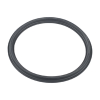 Уплотнительное кольцо муфты насоса RS II Hayward (RSX750N) - wod-mir.ru 