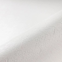 Пленка ПВХ Renolit Alkorplan Relief White, 1,65x25м (41,25м²), белый - wod-mir.ru 