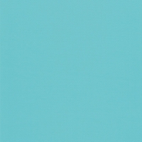 Пленка ПВХ Delifol NG Caribic 1,65х25м (бирюзовая) - wod-mir.ru 