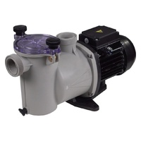 Насос Kripsol Ninfa NK-25, 220В, 6м³/ч, 0,25кВт, с префильтром - wod-mir.ru 