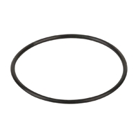 Прокладка-кольцо корпуса насоса Kripsol КА/КАР (RKA220.R/ RBH0017.00R) - wod-mir.ru 