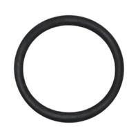 Уплотнительное кольцо для прожектора Hayward (SPX0512A) - wod-mir.ru 