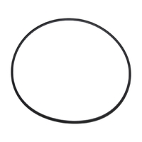 Уплотнительная прокладка крышки насоса Kripsol KAN/KT (RBH0011.06R/ RPUM0003.07R) - wod-mir.ru 