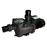 Насос Pool King PH100, 220В, 9,5м³/ч, 0,75кВт, с префильтром - wod-mir.ru 