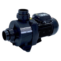 Насос Hayward HCP09151E2, 220В, 22,4м³/ч, 1,6кВт, без префильтра, KNG150 M.B IE2 - wod-mir.ru 