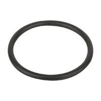 Уплотнительное кольцо соединительной муфты насоса Aquaviva LX WP500-I (F02010136) - wod-mir.ru 