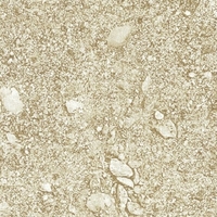 Пленка ПВХ Delifol NGD Playa Arena 1,65х25м (41,25м²) песок - wod-mir.ru 