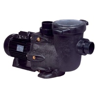 Насос Hayward Tristar SP32203, 380В, 28м³/ч, 1,33кВт, с префильтром  - wod-mir.ru 