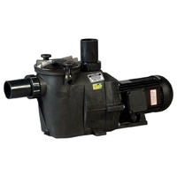 Насос Hayward RS II RS3011EV1, 220В, 17м³/ч, 0,93кВт, с префильтром - wod-mir.ru 