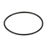 Резиновое кольцо диффузора насоса Kripsol KAN/KT (RPUM0011.05R/ RBH0012.04R) - wod-mir.ru 