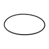 Уплотнительное кольцо корпуса насоса Aquaviva ZWE/WTB - wod-mir.ru 