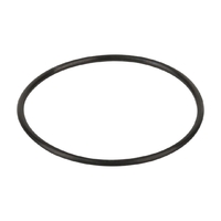 Уплотнительное кольцо корпуса насоса Aquaviva JA - wod-mir.ru 
