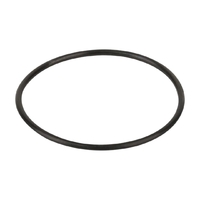 Уплотнительное кольцо соединительной муфты насоса Aquaviva ZWE/WTB - wod-mir.ru 