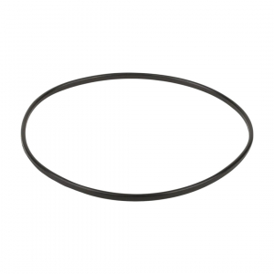 Уплотнительное кольцо к прижимному фланцу корпуса насоса Aquaviva SC (02011089) - wod-mir.ru 