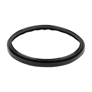 Резиновая прокладка фланца насоса Kripsol KA/KAP (RKA160.A/ RPUM0016.04R) - wod-mir.ru 