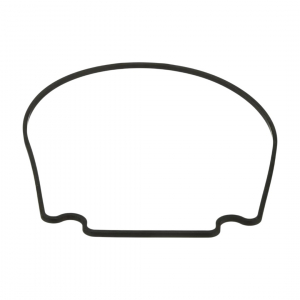 Уплотнительное кольцо корпуса насоса Aquaviva SWPA/SWPB - wod-mir.ru 