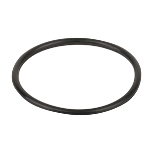 Уплотнительное кольцо для крышки вентиля Hayward (SPX0714L) - wod-mir.ru 