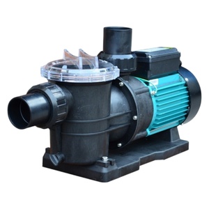 Насос Pool King STP100, 220В, 10м³/ч, 0,75кВт, с префильтром - wod-mir.ru 