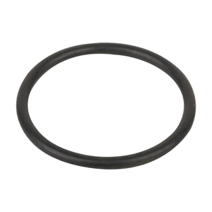 Уплотнительное кольцо диффузора насоса Aquaviva STP 35-120 - wod-mir.ru 