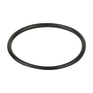 Уплотнительное кольцо вентиля Aquaviva MPV-04 (02011009) - wod-mir.ru 