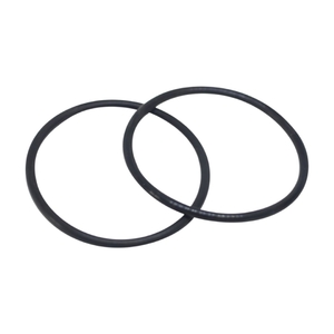 Уплотнительное кольцо вентиля фильтра Hayward Side PWL (SX200Z4PAK2) - wod-mir.ru 