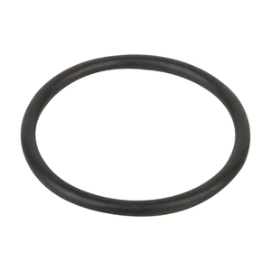Уплотнительное кольцо соединительной муфты насоса Aquaviva VWS/STP 150-300 (F02010093) - wod-mir.ru 