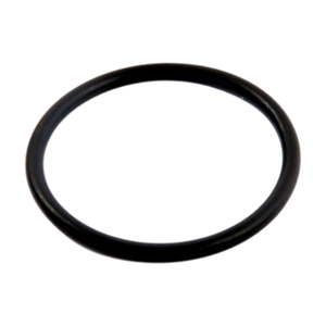 Уплотнительное кольцо для фильтров Hayward Star Clear (CX250F) - wod-mir.ru 
