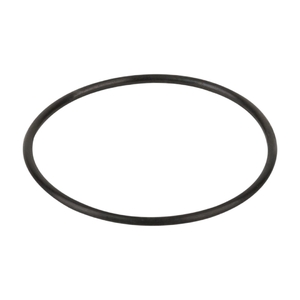 Уплотнительное кольцо крышки префильтра насоса Hayward K-Flo (RPUM0003.09R) - wod-mir.ru 