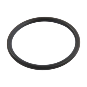 Уплотнительное кольцо фильтра Hayward (SX0360Z1) - wod-mir.ru 