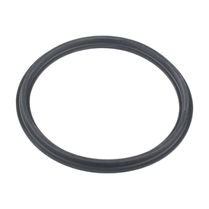 Уплотнительное кольцо муфты насоса RS II Hayward (RSX750N) - wod-mir.ru 