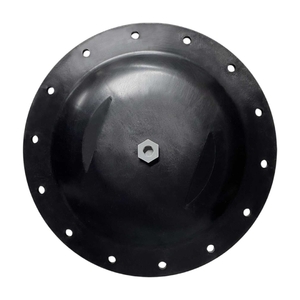 Крышка бочки фильтра Kripsol Artik 1050-2000 (RCFI0001.01R) - wod-mir.ru 