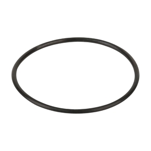 Уплотнительное кольцо диффузора насоса Aquaviva (02011004) - wod-mir.ru 