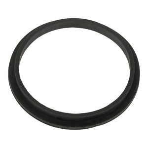 Уплотнительное кольцо для электронагревателей Elecro Evo и Flow Line - wod-mir.ru 