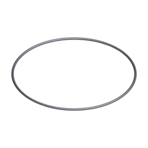 Уплотнительное кольцо 6-ти позиционного вентиля 2" Hayward (SPX0715Z1) - wod-mir.ru 