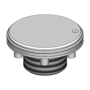Форсунка пылесосная Aquaviva + заглушка, 2", AISI-316 (под пленку) - wod-mir.ru 