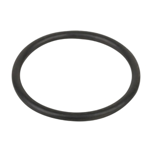 Уплотнительное кольцо соединительной муфты насоса Aquaviva LX WP500-I (F02010136) - wod-mir.ru 
