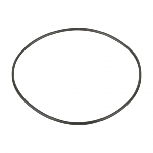 Резиновая прокладка к фланцу насоса Aquaviva SS (02011090) - wod-mir.ru 