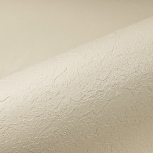  Пленка ПВХ Renolit Alkorplan Relief Sand 1,65x25м (41,25м²) песочная - wod-mir.ru 