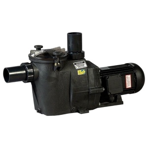 Насос Hayward RS II RS3020EV1, 220В, 23м³/ч, 1,4кВт, с префильтром - wod-mir.ru 