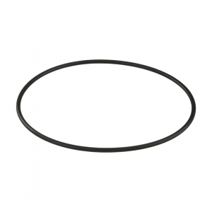 Уплотнительное кольцо корпуса насоса Aquaviva ZWE/WTB - wod-mir.ru 